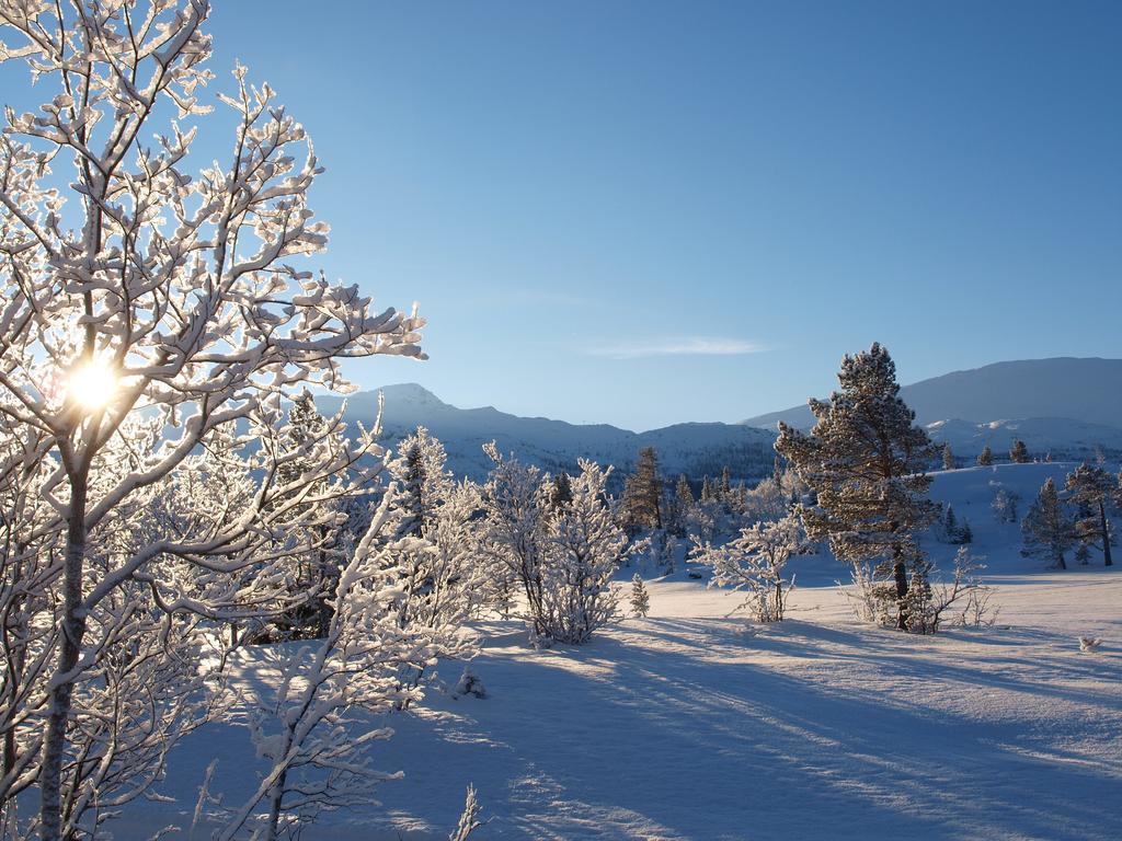 Guest house Den Lykkelige Sportsmann Gaustablikk