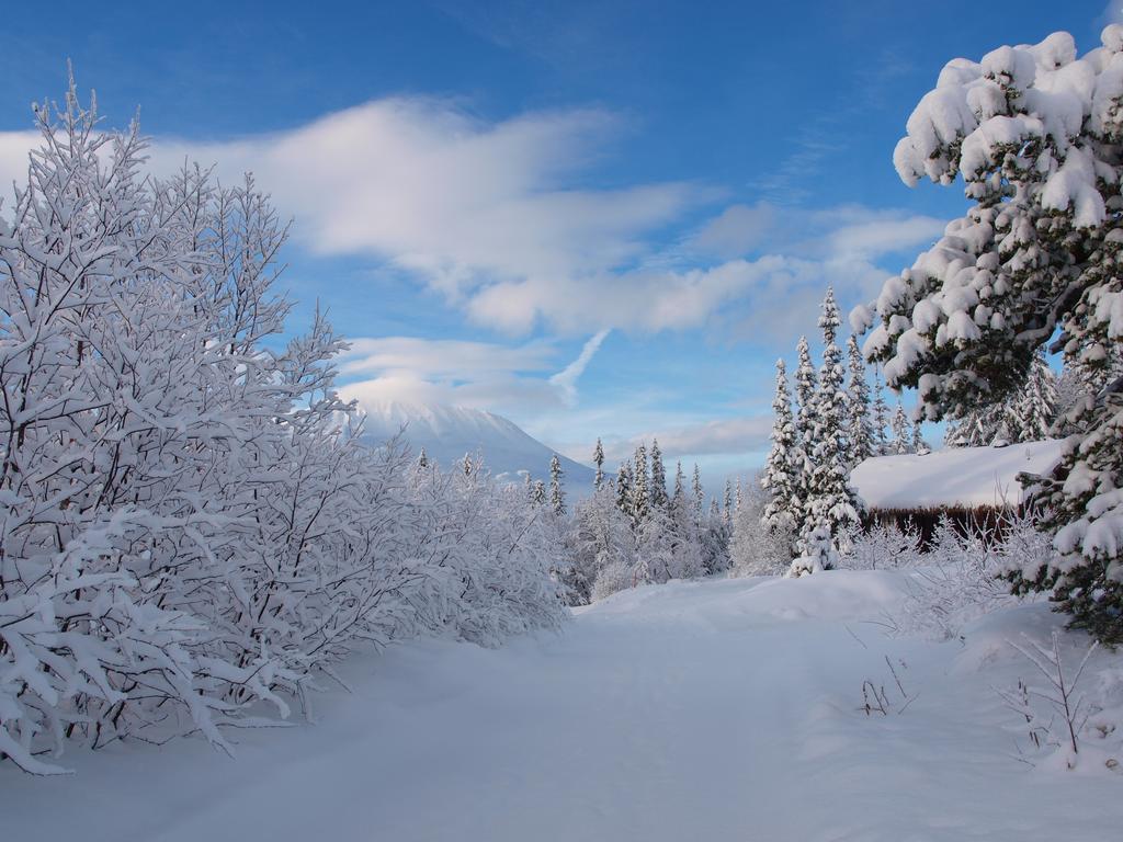 Guest house Den Lykkelige Sportsmann Gaustablikk